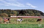 103 170 passiert auf den Ruhrwiesen bei Wetter/Ruhr mit IC 614 "Friedrich Schiller" (München - Dortmund) eine Pferdekoppel. (06.10.1985) <i>Foto: Joachim Bügel</i>