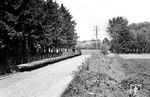 In den von Lok 7 geführten Gmp nach Lathen war lediglich ein Wagen für Reisende eingereiht. Neben der Chaussee verlaufen die Telefonleitungen nach Werlte. (17.05.1951) <i>Foto: Gerd Wolff</i>