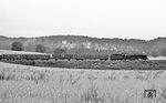 Die Pasewalker 01 0535 mit dem Güterexpresszug (Gex) 2650 bei Chorin. (07.1976) <i>Foto: Burkhard Wollny</i>