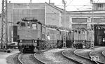 Das Bw Rosenheim stand neben Freilassing als Synonym für Baureihe 116, die dort auch zeitweise heimisch war. 116 003 wurde 1977 ausgemustert und landete im DB-Museum in Koblenz-Lützel, 116 009 (rechts) wurde im Januar 1980 als letzte Lok der Baureihe ausgemustert und blieb im Bahnpark Augsburg erhalten. (07.1976) <i>Foto: Burkhard Wollny</i>