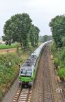 Ein paar Kilometer weiter trifft der umgeleitete Flixtrain FLX 27802 bei Haan-Ellscheid auf einen Vegetationstrupp. (17.07.2019) <i>Foto: Joachim Bügel</i>
