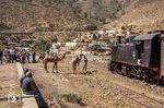 Kamele gibt es fast überall in Eritrea. Die sparsamen Tiere transportieren Waren in abgelegene Dörfer, in denen es oft überhaupt keine Straße gibt. Solche Transporte sind langsam, aber wenn es etwas gibt, das die Menschen in Afrika im Überfluss haben, ist es Zeit. So ist auch ein Foto mit einer seltsamen Fotogruppe aus Europa vor der 442.56 in Nefasit kein Problem. (15.01.2019) <i>Foto: Joachim Schmidt</i>