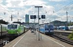 In Hamburg-Altona warten 193 813 vor FLX 1805 nach Köln und "Linda" (CD 193 291) vor EC 177 nach Prag auf Ausfahrt. (08.2019) <i>Foto: Benno Wiesmüller</i>
