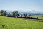 247 044 von EuroCargoRail mit einem Güterzug von Kempten nach Würzburg vor dem Alpenpanorama bei Wilpoldsried. (13.09.2019) <i>Foto: Joachim Schmidt</i>