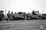 Die drei ehemaligen LAG-Loks 98 1802, 98 1703 und 98 1801, abgestellt am Bw Kempten. (13.05.1960) <i>Foto: Helmut Röth</i>