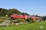 218 432 schiebt den RE 4228 (Stuttgart - Lindau) durch Enzisweiler. (11.09.2019) <i>Foto: Joachim Bügel</i>