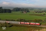 Während über Genhofen noch die Nebelschwaden wabern, können die Fahrgäste des EC 196 nach Zürich, geführt von 218 403 und 218 465, bei Oberstaufen-Zell bereits die Sonne genießen. (14.09.2019) <i>Foto: Joachim Bügel</i>