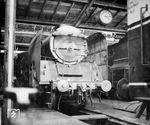 Die PKP-Reihe Pm 36 wurde 1937 bei Fablok in Chrzanow in nur zwei Exemplaren gebaut. Die ursprünglich mit einer Stromlinienverkleidung versehene Pm 36-1 wurde 1937 auf der Weltausstellung in Paris ausgestellt und dort mit einer Goldmedaille prämiert. Die vorgesehene Serienfertigung der Lok kam wegen des Zweiten Weltkrieges nicht mehr zustande. Nach der Besetzung Polens wurde die Lok 1939 in den Bestand der Deutschen Reichsbahn eingereiht und zur LVA Berlin-Grunewald überführt (Foto). Dort wurde die Stromlinienverkleidung entfernt, als Bremslok umgebaut und erhielt die neue Betriebsnummer 18 601. Bei Testfahrten erreichte sie 150 km/h. Die zweite, unverkleidete Lok wurde zunächst sowjetische Beute. Nach dem Beginn des Russlandfeldzuges gelangte sie auch in deutschen Besitz und erhielt die Betriebsnummer 18 602. 18 601 (Pm 36-1) befand sich 1945 zu Kriegsende in Berlin, wurde jedoch nicht mehr eingesetzt und schließlich im Oktober 1952 ausgemustert. Nach österreichischem Exil und sowjetisch veranlasstem Abtransport wurde die zweite Pm 36-2 ab 1947 wieder von der PKP vor Schnellzügen eingesetzt (als Pm 36-1). 1965 wurde sie als Einzelgänger ausgemustert und gelangte in den Bestand des Eisenbahnmuseum Warschau. (1939) <i>Foto: Slg. Johannes Glöckner</i>