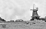 Die Groothuser Mühle galt als ein Wahrzeichen der Krummhörn, jener Region zwischen Emden und Greetsiel auf der die gleichnamige Bahn verkehrte. Auf der Fahrt nach Emden passiert der T 54 im Sommer 1961 diese Windmühle. Im Oktober 1967 ließen die Eigentümer ihren Aufsatz entfernen. (18.06.1961) <i>Foto: Gerd Wolff</i>