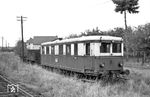 Die Reinheim-Reichelsheimer Eisenbahn (RRE) war eine private Nebenbahn im Odenwald, die ursprünglich von Reinheim nach Reichelsheim führte. 1964 wurde der stillgelegte Teil zwischen Groß-Bieberau und Reichelsheim bereits abgebaut. Seit 31. März 2018 ist auch die Reststrecke bis Groß-Bieberau offiziell stillgelegt. Der hier in Groß-Bieberau abgestellte VT 23 kam 1935 fabrikneu von MAN zur RRE und war bis zur Einstellung des Personenzugverkehrs im Jahr 1963 hier eingesetzt, nach dem 2. Weltkrieg zusammen mit dem Beiwagen VB 122. (20.09.1964) <i>Foto: Helmut Röth</i>