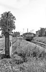 Im Vorfeld des Dillinger Bahnsteiges befand sich eine Gleiswaage. Hier lagerte einst auch Kohle für die Dampfloks. Rechts befindet sich die regelspurige Strecke Ulm – Ingolstadt.  (06.08.1972) <i>Foto: Gerd Wolff</i>