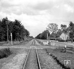 Der Streckenverlauf der Hümmlinger Kreisbahn bei Waldhöfe (Kilometer 17,3) schnurgerade neben der Chaussee. (17.05.1951) <i>Foto: Gerd Wolff</i>