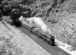 Ex Southern-Railway "West Country" class Light Pacific No. 34101 "Hartland" verlässt den Wallers Ash Tunnel zwischen Micheldever und Winchester in Hampshire.  (1966) <i>Foto: A.E. Durrant</i>