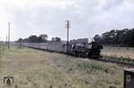01 1074 befördert den stattlichen D 437 im Wiehengebirge bei Ostercappeln.  (18.09.1965) <i>Foto: Wilfried Sieberg</i>