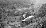 95 0020 mit P 18004 auf dem Weg zum Spitzkehrenbahnhof Lauscha. Das Bild entstand von einem Waldweg am Berg Teufelsholz oberhalb der Trasse nach Oberlauscha, die rechts unten noch sichtbar ist.  (07.1977) <i>Foto: Burkhard Wollny</i>