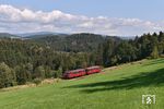 798 706 und 998 840 der Passauer Eisenbahnfreunde zwischen Waldkirchen und Röhrnbach. (12.09.2020) <i>Foto: Ralf Opalka</i>