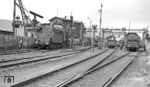 Blick in das Bw Oberlahnstein mit zahlreichen Loks der Baureihen 50 (links), 56.20 und 38.10 (rechts). (08.1951) <i>Foto: A. Dormann, Slg. W. Löckel</i>