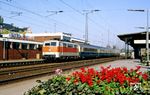 Die in S-Bahnfarben lackierte 111 129 fährt vor dem Kurz-IC 646 "Hellweg" (Dortmund - Wuppertal - Köln) in den Bahnhof Solingen-Ohligs ein, der heute Solingen Hbf heißt. (19.10.1987) <i>Foto: Joachim Bügel</i>