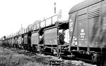 Im Güterzug der beiden 50er waren Omm 52/Off 52-Wagen eingestellt, die nagelneue VW-Käfer unter den Planen transportierten. (1956) <i>Foto: Reinhold Palm</i>