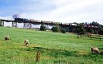 50 3646 mit Ng 61971 nach Annaberg auf dem 36 m hohen und 236 m langen Markersbacher Viadukt aus dem Jahr 1888. (12.09.1987) <i>Foto: Wolfgang Bügel</i>