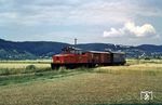 V 29 951 im Donautal zwischen Tegernheim und Stauferfeld. (08.08.1967) <i>Foto: Josef Mettler</i>