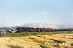 44 1221 (Bw Bebra) mit einem Güterzug auf der Nord-Südstrecke bei Bad Sooden-Allendorf. (10.1957) <i>Foto: Carl Bellingrodt</i>