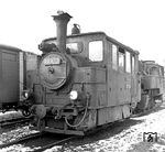 Das erhöhte Verkehrsaufkommen auf den Vorderpfälzischen Strecken der meterspurigen Bahnen erforderte in den 1920er Jahren eine weitere Bestellung von Lokomotiven. Im Gegensatz zu den zuletzt gelieferten Maschinen der Typen L 1 bzw. PtS 3/3 N wechselte man nun zur Bauweise der Heißdampfausführung. Im Jahr 1923 wurden von der Deutschen Reichsbahn Gesellschaft bei der Fa. Krauss drei Maschinen bestellt, welche mit den Werksnummern 7987 bis 7989 geliefert wurden. Bei ihrer Auslieferung erhielten sie noch die pfälzischen Nummern XXXI bis XXXIII. 1924 erhielten sie dann die Reichsbahn-Nummern 99 101 bis 99 103.  (02.1955) <i>Foto: Prof. Wolfgang Reisewitz</i>