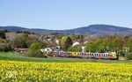 609 009 und 609 011 der Hessischen landesbahn (HLB) als HLB 24755 (Königstein/Ts - Frankfurt/M Hbf) bei Kelkheim im Taunus. (20.04.2016) <i>Foto: Marvin Christ</i>