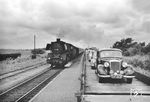 Ein Autozug nach Sylt wartet im Bahnhof Klanxbüll die Kreuzung eines Gegenzuges mit der Eidelstädter 41 158 ab. Schon 1950 wurden 20.000 Fahrzeuge über den Hindenburgdamm befördert.  (1953) <i>Foto: Walter Hollnagel</i>