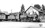 Lok 12 (ex 55 430) vor einem Güterzug auf der Kahlgrundbahn. Die pr. G 7.1 kam am 17. Januar 1947 zur KVG und war dort bis 1954 im Einsatz. (1950) <i>Foto: Hermann Ott</i>