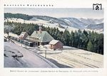 Angelehnt an Fotografien entstanden beim Werbeamt der Reichsbahn solche kolorierten Werbekarten, die hier z.B. den Bahnhof Bärental mit dem Feldberg an der Dreiseenbahn (und nicht wie fälschlich angegeben die "Dreissenbahn") zeigt. (1929) <i>Foto: WER</i>