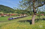 SBB 482 004 mit einem Ölzug von Vohburg nach Basel im Murrtal bei Schleißweiler. (02.06.2021) <i>Foto: Zeno Pillmann</i>