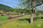 Am 2. Juni 2021 fuhr DB Regio Baden-Württemberg den planmäßig mit Talent 2-Triebzügen durchgeführten Zug RB 17545 von Stuttgart nach Crailsheim als lokbespannten Zug. Der Zug erhielt die abweichende Zugnummer RB 70662 und wurde aus vier Doppelstockwagen gebildet, die von 111 169 geschoben wurden. Aufgenommen wurde der Zug auf der Murrbahn an der in diesem Jahr noch im Juni blühenden Streuobstwiese bei Schleißweiler.  (02.06.2021) <i>Foto: Zeno Pillmann</i>
