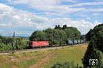 ÖBB 1116.067 mit einem KLV-Zug aus Italien kurz vor Aßling/Oberbayern. (30.07.2013) <i>Foto: Stefan von Lossow</i>