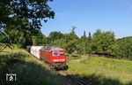 In den Sommermonaten ähnelt die Angertalbahn immer mehr einer verwilderten Gartenbahn. 232 668 erreicht mit GAG 60800 aus Duisburg Hütte Mannesmann/Krupp den Bahnhof Flandersbach. (14.06.2021) <i>Foto: Joachim Bügel</i>