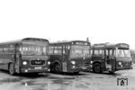 In München präsentieren sich die typischen Vertreter der DB-Bahnbusse der 1960er Jahre: Ein MAN 535 HO-Ü, ein Mercedes-Benz O 317 und ein Büssing Präsident 14. (1967) <i>Foto: Engels</i>