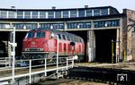 215 061 (Baujahr 1970) hatte 1971 die Nachfolge der Baureihe 03 in Ulm angetreten und war dort bis 1997 stationiert. (15.10.1988) <i>Foto: Wolfgang Bügel</i>