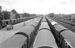 Unzählige gedeckte Güterwagen warten im Bahnhof Limburgerhof auf die Frühkartoffelverladung. (25.06.1963) <i>Foto: Werner Kortokraks</i>