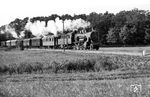 56 617 vom Bw Heringsdorf mit einem Personenzug auf der Insel Usedom nahe Koserow auf der Strecke Wolgaster Fähre - Heringsdorf. (06.1955) <i>Foto: Karl-Ernst Maedel</i>