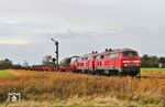 218 385 und 218 810 passieren mit AS 1449 aus Westerland (Sylt) das Einfahrsignal von Klanxbüll. (26.10.2021) <i>Foto: Joachim Bügel</i>