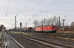 143 175 und 143 348, in Diensten der Salzland Rail Service Schönebeck (Elbe), vor einem leeren Holzug von Bad Schandau nach Dortmund in Leipzig-Schönefeld. (12.12.2021) <i>Foto: Ralf Opalka</i>