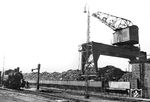 92 843 an der neuen Bekohlungsanlage im Bw Neumünster. Das Besondere war der neue Kohlenkran, der zuvor im Hamburger Hafen demontiert worden war. (20.06.1950) <i>Foto: Walter Hollnagel</i>