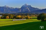 Ein Zug der Bayerischen Regiobahn (BRB) vor der Kulisse der Allgäuer Alpen bei Hopferau. Der aufmerksame Beobachter wird auch Schloß Neuschwanstein entdecken. (19.10.2020) <i>Foto: Michael Hubrich</i>