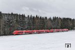 Der "Pesa Link", ein Dieseltriebwagen des polnischen Herstellers Pesa, stellt aktuell die modernste Fahrzeugversion im Allgäu dar. 633 530 und 633 051 dieseln östlich von Günzach als RE 57423 (Kempten - Ausgburg) durch den Schnee. (07.02.2022) <i>Foto: Joachim Bügel</i>