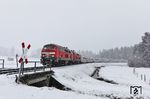 Der rote Farbtupfer im Schneetreiben stammt von 218 415 und 218 411 vor IC 2012 und einem Andreaskreuz bei Unterthalhofen. (11.02.2022) <i>Foto: Joachim Bügel</i>