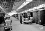 Die Stückgut-Umladehalle in Wanne-Eickel war die größte und modernste der DB, in der gleichzeitig 352 Güterwagen beladen werden konnten. (1959) <i>Foto: Willi Marotz</i>
