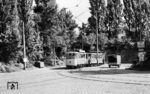Tw 21 (v.d.Zypen/SSW, Baujahr 1906) mit Bw 102 (v.d.Zypen, Baujahr 1902) auf der Linie 1 nach Dottendorf südlich vom Bonner Hauptbahnhof. (05.07.1957) <i>Foto: Aad van Ooy</i>
