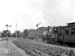 NS 7736 fährt mit einem Personenzug vom Seebad Bergen aan Zee nach Alkmaar aus dem Bahnhof Bergen. Die letzte eingesetzte Lok der Reihe 7700 (No. 7742) wurde nach Einstellung der Strecke am 31. August 1955 als Denkmal in Bergen aufgestellt. Zwischen 1980 und 1985 wurde sie einer Generalüberholung unterzogen und ist auf der Museumsstrecke Hoorn- Medenblijk wieder im Einsatz. (07.07.1954) <i>Foto: Alan Orchand</i>