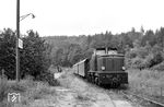 V 52 901 fährt mit P 3084 in den Haltepunkt Trienz ein. Die Station Trienz besaß auf der Strecke nur eine geringe Verkehrsbedeutung. Trotzdem wurden bis zuletzt über das Ladegleis Güterwagen zugestellt. (27.08.1966) <i>Foto: Helmut Röth</i>