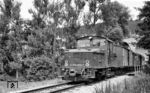 V 29 952 auf der Schmalspurbahn Nagold - Altensteig in Nagold. (19.07.1959) <i>Foto: Aad van Ooy</i>